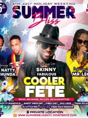 Summer BLISS Cooler Fete